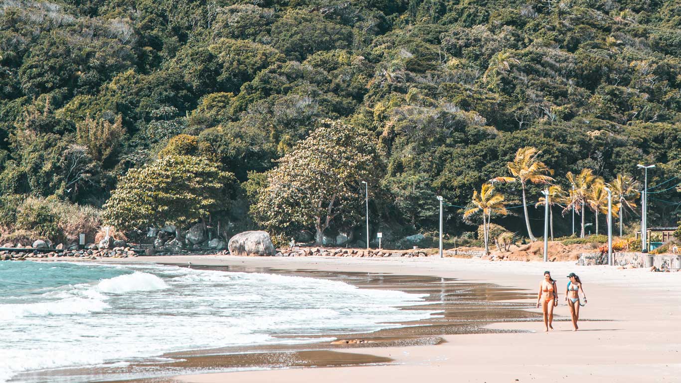 La imagen muestra una playa tranquila con dos mujeres caminando por la orilla, vestidas con trajes de baño. El mar de color turquesa llega suavemente a la arena, mientras que detrás de ellas se extiende una densa vegetación con palmeras movidas por el viento. 