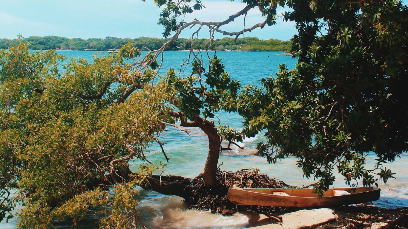 Isla Grande en Cartagena