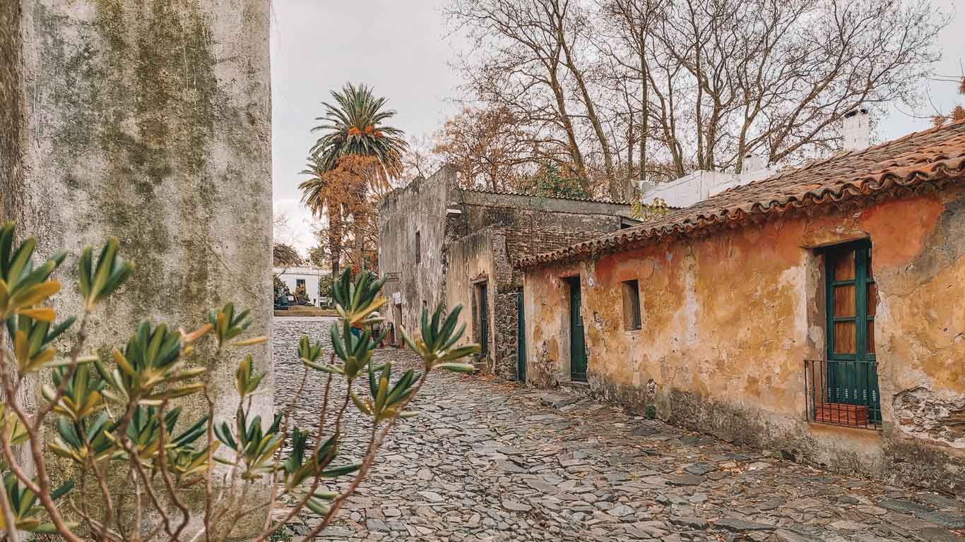 La imagen muestra una calle empedrada en Colonia del Sacramento, Uruguay, con casas antiguas de paredes desgastadas y techos de tejas. La vegetación y las palmeras añaden un toque de color al entorno histórico. El ambiente tranquilo y pintoresco resalta el encanto colonial de esta ciudad.
