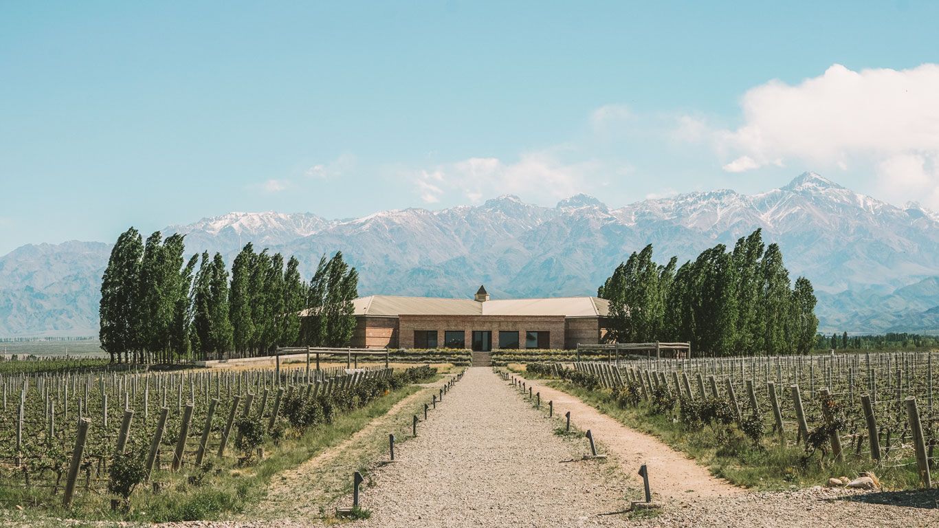 Imagen de una bodega en Valle de Uco, en Mendoza, con los típicos paisajes de viñedos y los Andes al fondo.