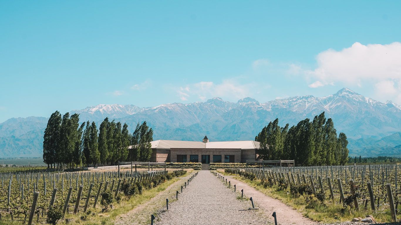 Tour en Bodega Salentein, Mendoza