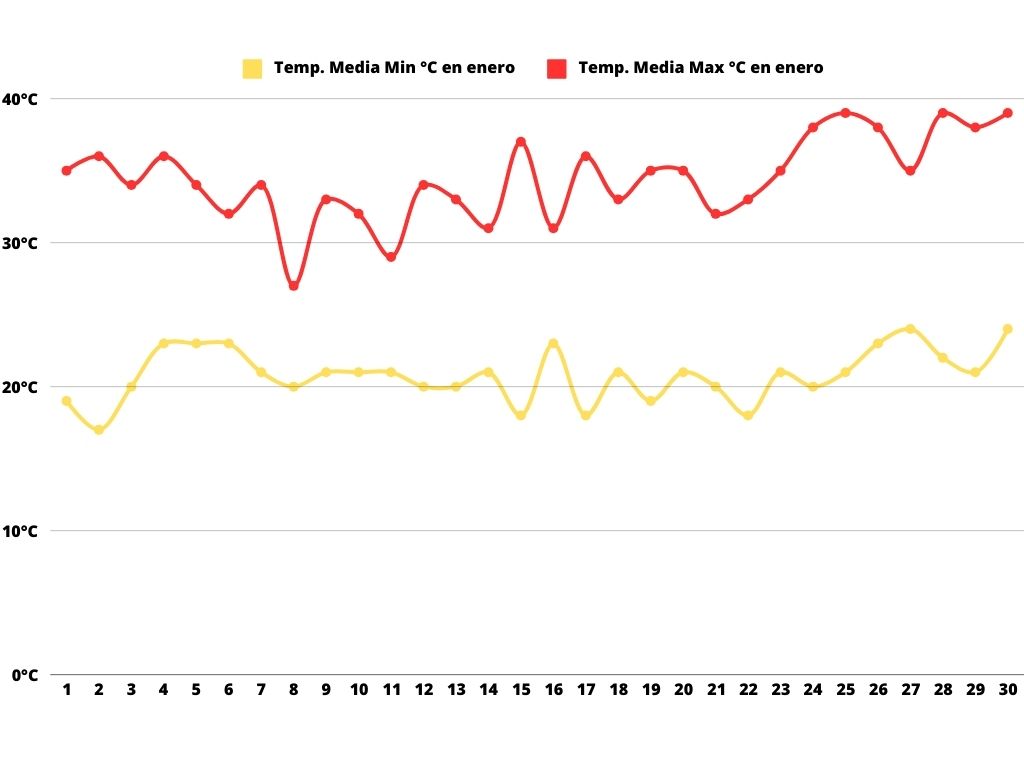 Gráfico mostrando la temperatura media mínima y máxima de Mendoza durante el mes de enero.