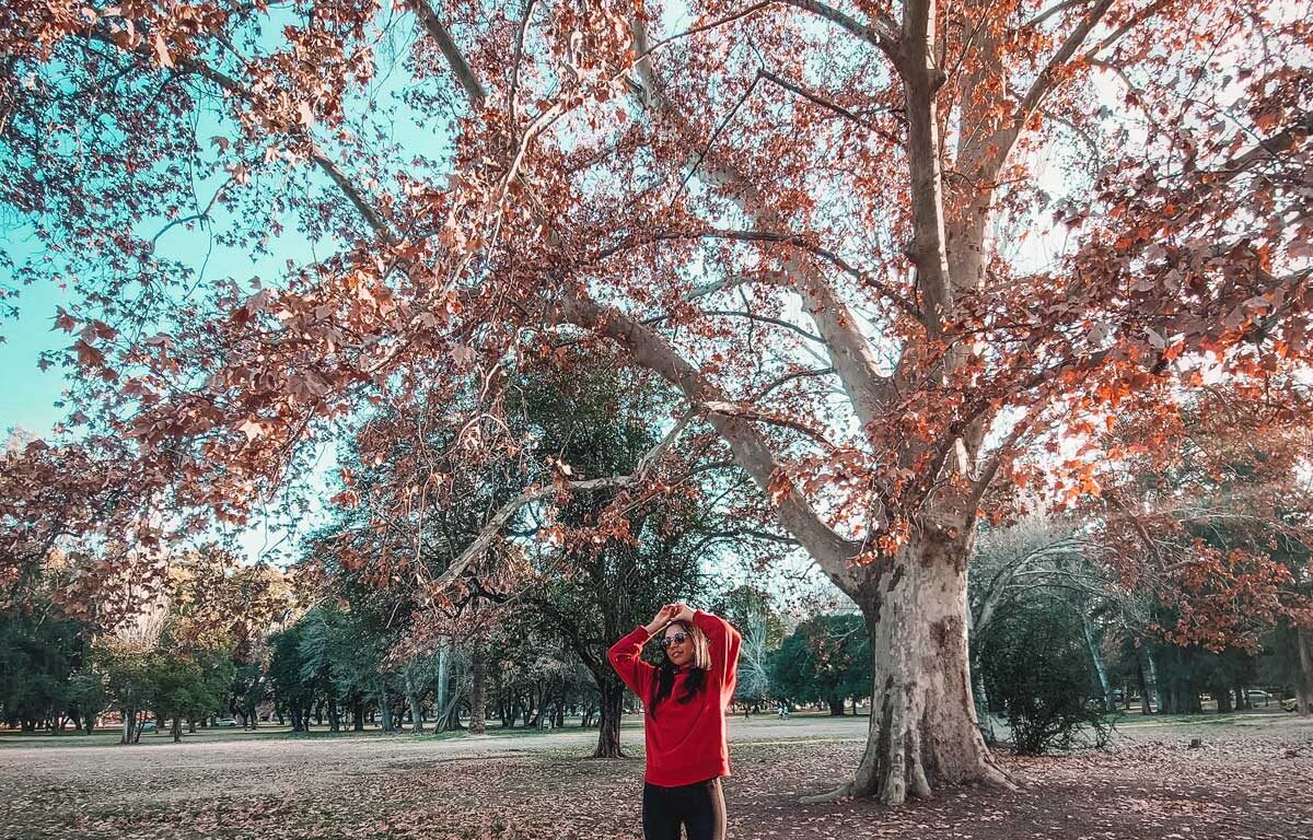 Una mujer con un suéter rojo y pantalones negros, con las manos apoyadas sobre su cabeza en una pose relajada, se encuentra bajo un árbol entre las hojas secas del invierno en el Parque General San Martín, en Mendoza.