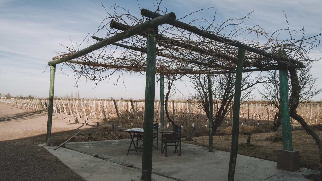 Un viñedo en Mendoza durante el mes de agosto, con una pérgola de madera sin hojas en primer plano y filas de vides podadas al fondo. La imagen muestra la tranquilidad y la preparación del viñedo para la próxima temporada de crecimiento.