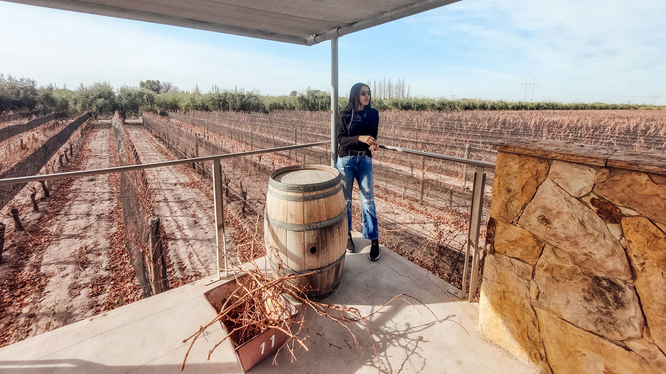 La imagen muestra a una mujer de pie en una terraza, junto a un barril de madera, con vistas a un viñedo en la Bodega Tempus Alba en Mendoza, Argentina. Las filas de vides, desnudas por el invierno, se extienden hasta el horizonte, rodeadas de vegetación y bajo un cielo despejado. El ambiente transmite calma y el enfoque en la producción de vino en la región.