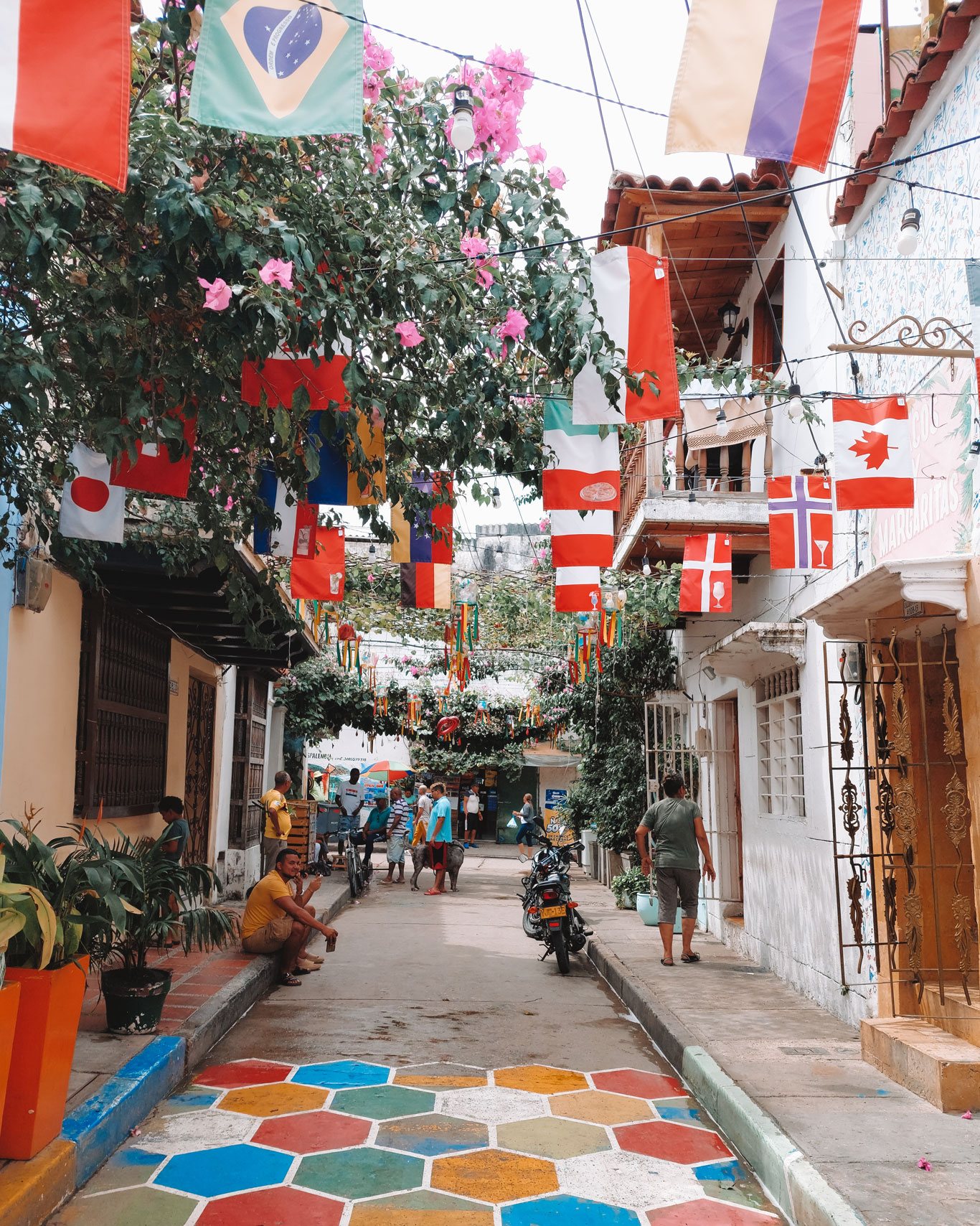 Una colorida calle del barrio Getsemaní en Cartagena de Indias, adornada con banderas de varios países que cuelgan sobre la calle y rodeada de vegetación y flores. El pavimento muestra un patrón de colores brillantes en forma de hexágonos, mientras los locales y turistas disfrutan del ambiente vibrante y artístico de este popular barrio.