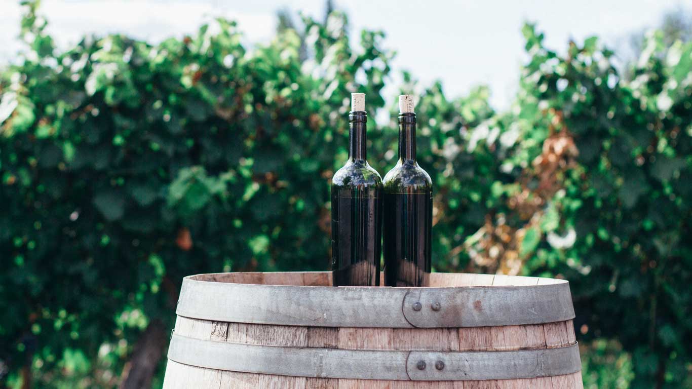 Imagen de dos botellas de vino oscuro con corchos, colocadas sobre un barril de madera en un viñedo.