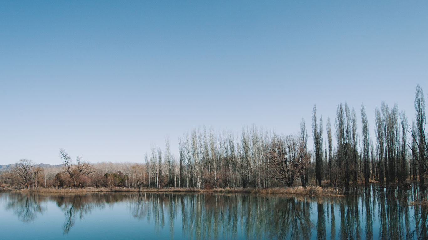 La imagen muestra un paisaje sereno con árboles altos y delgados reflejándose en el agua de un lago tranquilo, bajo un cielo despejado. Los tonos invernales y la calma del entorno natural sugieren una mañana fría, capturando la belleza minimalista de Mendoza en septiembre. 