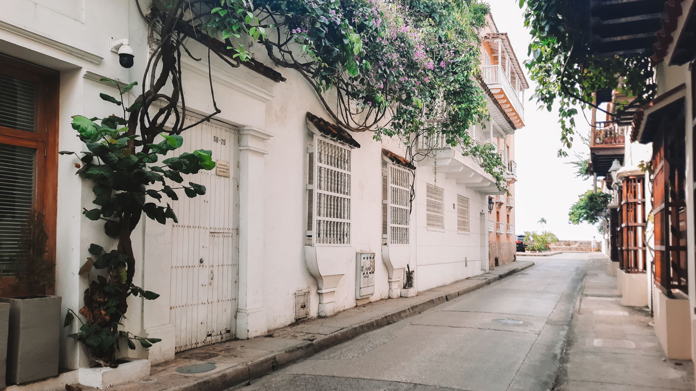 Una tranquila calle del barrio San Diego, donde las fachadas blancas de las casas coloniales están adornadas con plantas trepadoras y flores púrpuras. La calle vacía y los detalles arquitectónicos tradicionales crean un ambiente sereno y pintoresco, mostrando el encanto histórico de este sector de la ciudad, que es una opción donde alojarse en Cartagena de Indias.