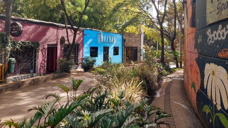 Una calle en El Poblado, Medellín, con un ambiente colorido y lleno de vegetación. A la izquierda, se observa un edificio rosa con el letrero "La Tienda de Dana", seguido de un edificio azul con el rótulo "Inmobiliaria Talleras". A la derecha, una pared decorada con arte urbano y graffitis, rodeada de árboles y plantas que aportan un toque natural al entorno.