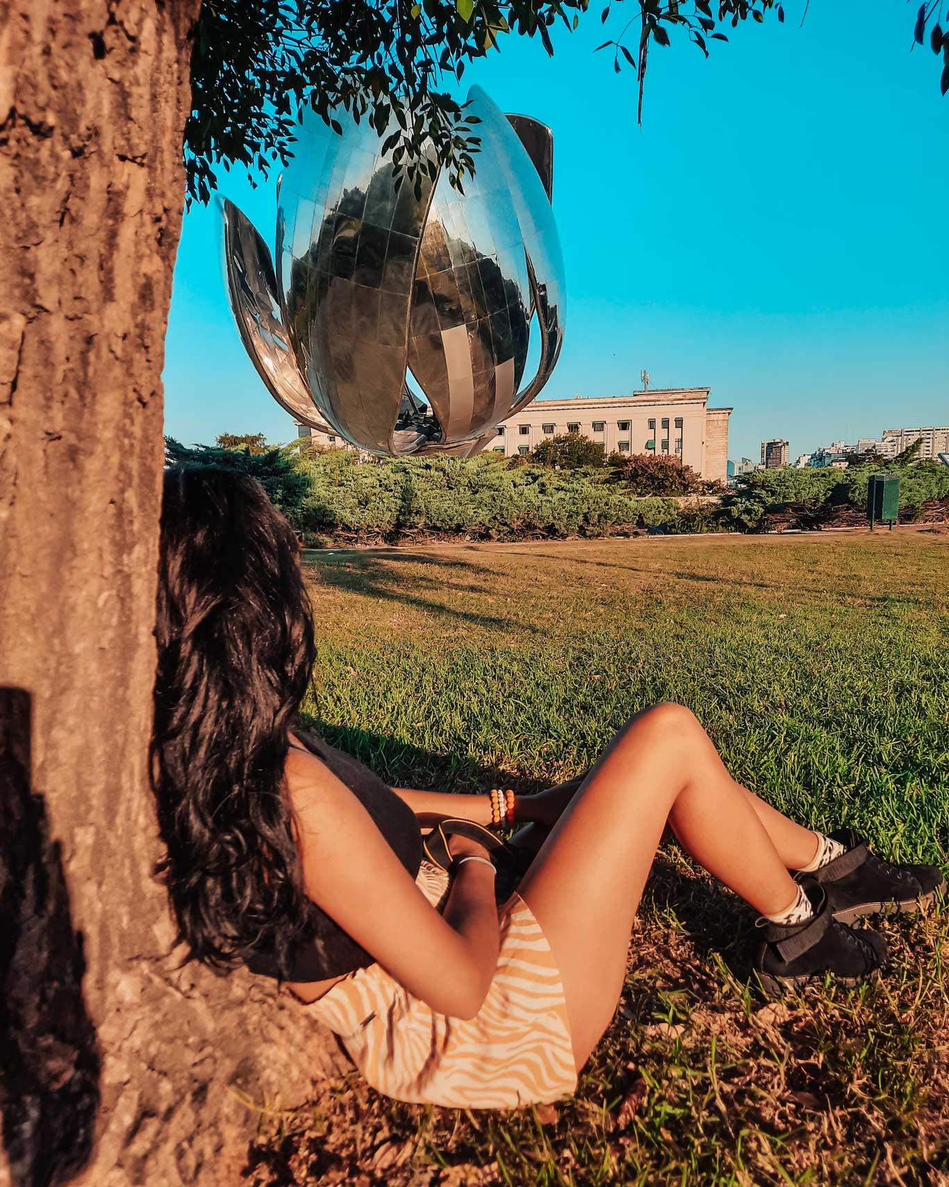 Una persona sentada junto a un árbol en el parque, mirando hacia la escultura Floralis Genérica en Buenos Aires, Argentina. La gran flor metálica brilla bajo el sol, reflejando el entorno. El ambiente es tranquilo y soleado, con césped verde y un edificio visible al fondo.