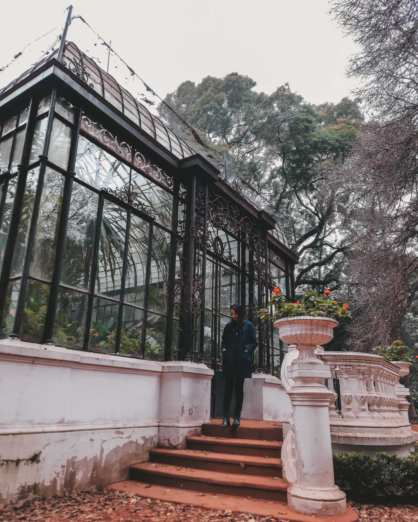 Una persona de pie junto a una antigua estructura de invernadero en el Jardín Botánico de Buenos Aires, Argentina. El invernadero tiene un diseño de hierro forjado y cristal, rodeado de vegetación y macetas decorativas con flores. El ambiente es tranquilo y ligeramente nublado, con árboles altos en el fondo.