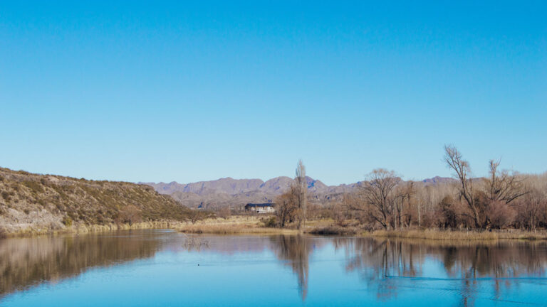 Un paisaje sereno con un río reflejando un cielo azul claro y árboles sin hojas en las orillas, sugiriendo que es otoño o invierno. Al fondo, se pueden ver montañas bajas y una estructura de techo oscuro, posiblemente un edificio o una cabaña rural. La imagen transmite tranquilidad en un entorno natural en Mendoza.