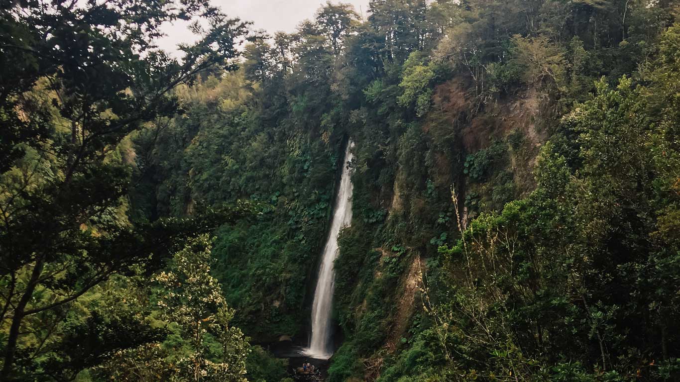 Imagen que muestra una cascada alta y delgada rodeada de una densa vegetación en un entorno natural en Chiloé, Chile. El agua cae desde un acantilado rodeado de árboles y arbustos que destacan por su verde intenso, creando un ambiente de serenidad y frescura. Este lugar es ideal para disfrutar de la belleza natural, tomar fotografías y explorar la flora autóctona de la región.