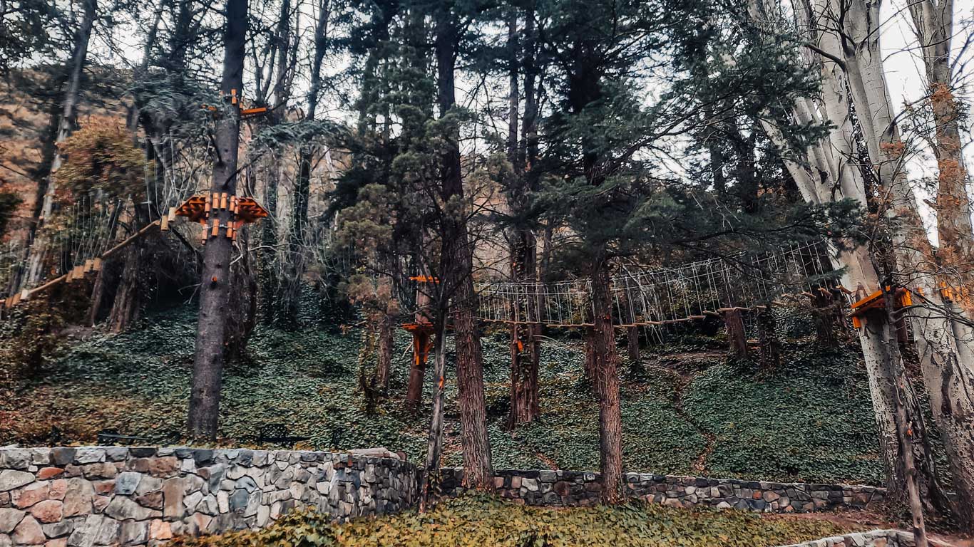 Un parque de aventuras en medio de un bosque con plataformas y puentes colgantes construidos entre los árboles. Las estructuras de madera y cuerdas se integran en el paisaje, rodeadas de abundante vegetación y enredaderas. El ambiente es fresco y otoñal, ideal para actividades al aire libre en la naturaleza.