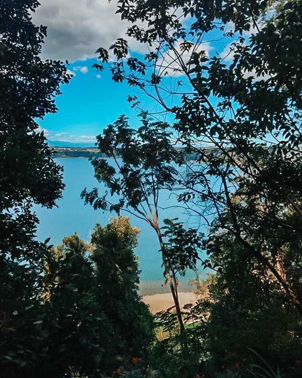 Vista del lago Llanquihue desde un sendero rodeado de árboles en el Parque Philippi, un lugar tranquilo y una de las mejores cosas que hacer en Puerto Varas. A través del follaje se puede apreciar el agua azul y un cielo despejado con algunas nubes