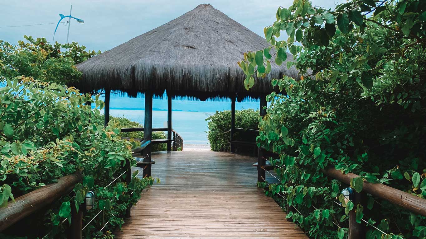jurere Pasarela de madera rodeada de frondosa vegetación que conduce a un quiosco con techo de paja frente al mar. La escena muestra un entorno tropical, con el océano azul visible al fondo. Es un lugar tranquilo y pintoresco, ideal para relajarse o disfrutar de la naturaleza en Florianópolis, Santa Catarina