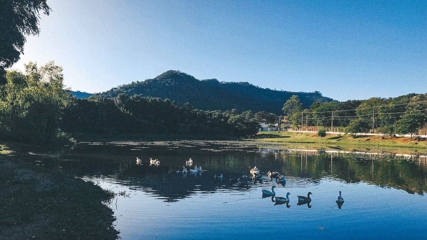 Un tranquilo lago en São Pedro, São Paulo, reflejando el cielo azul y rodeado de vegetación exuberante. Un grupo de patos nada apaciblemente en el agua, mientras al fondo se observan colinas verdes y algunas casas. La imagen transmite serenidad y un ambiente natural ideal para el descanso y la contemplación.