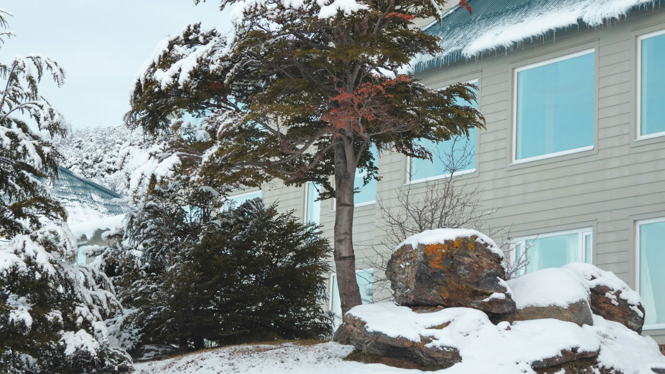 Fachada de un hotel con grandes ventanales rodeado de árboles cubiertos de nieve en Ushuaia.