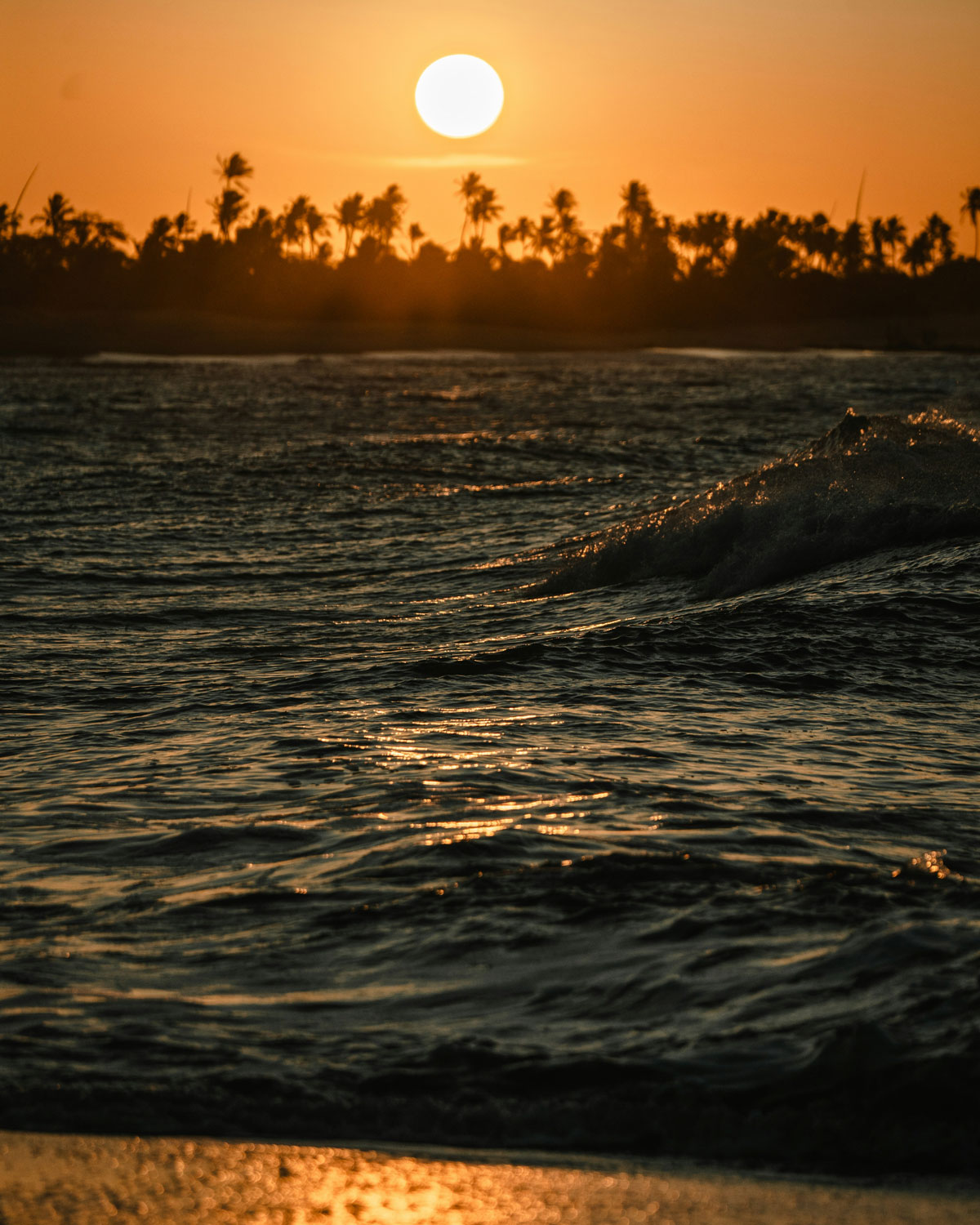 Playa de Ponta do Santo Cristo, una de las mejores opciones para alojarse en São Miguel do Gostoso, al atardecer, con el sol poniéndose detrás de las palmeras y el mar reflejando tonos dorados.