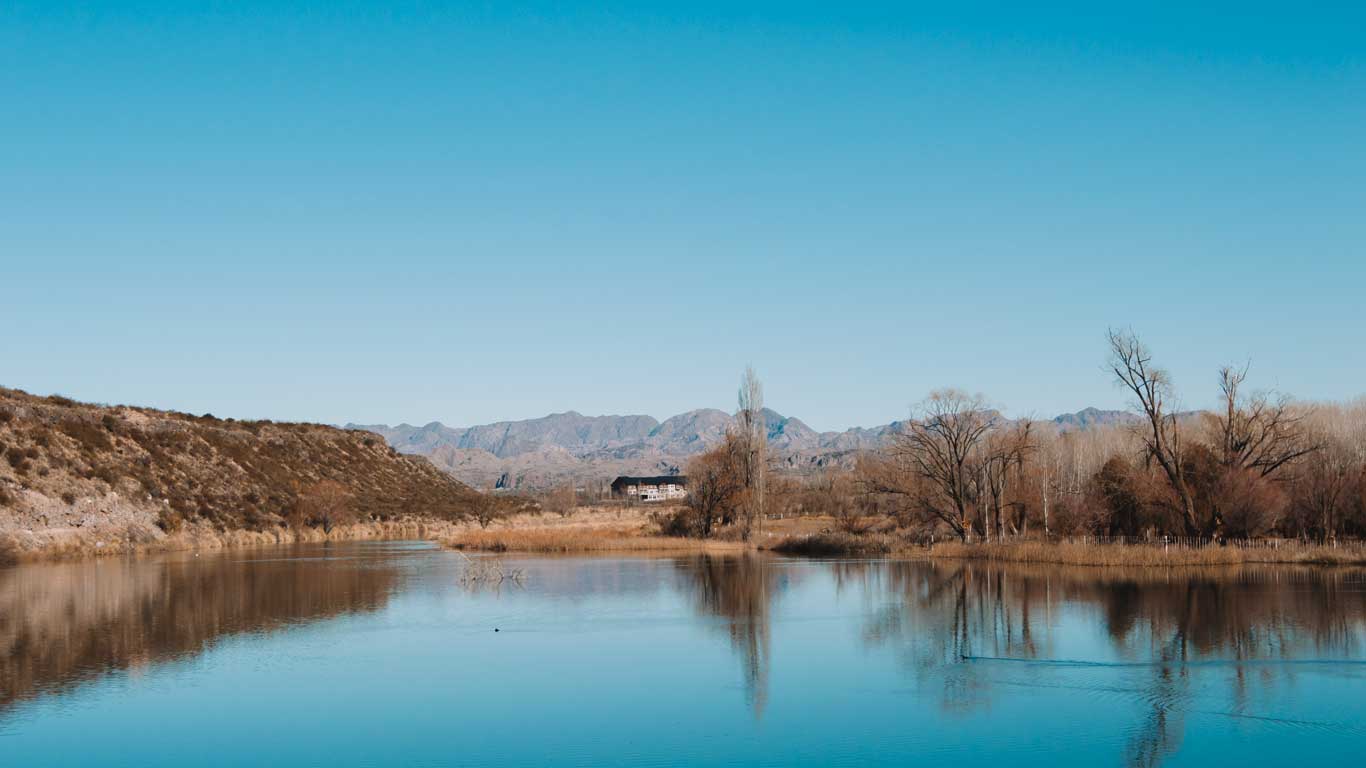 Cuándo ir a Mendoza: la mejor época y clima