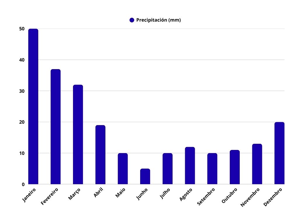 Gráfico de barras azules que muestra el promedio mensual de precipitación en milímetros. Enero es el mes más lluvioso, con unos 50 mm, seguido de una disminución continua hasta junio, con unos 5 mm, y una leve recuperación hasta diciembre.