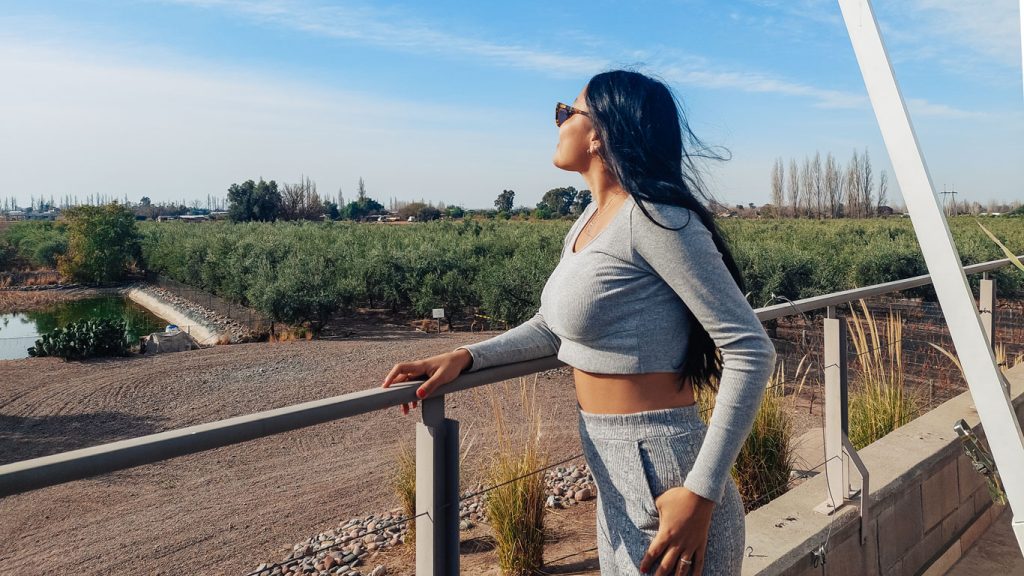 Mujer de pelo largo y ropa gris observando el paisaje de una plantación de olivos en la Bodega Tempus Alba en Mendoza. Está en una terraza con vistas a los campos verdes bajo un cielo azul.