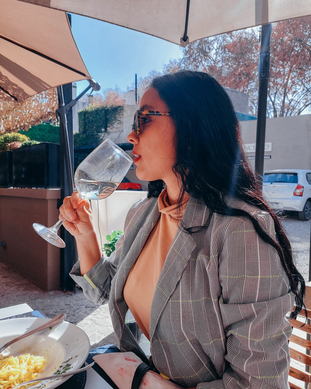 Mujer de pelo largo y gafas de sol bebiendo vino blanco en una copa mientras almuerza al aire libre en Mendoza. Lleva una americana de cuadros gris con una blusa beige y está sentada a la mesa con un plato de pasta frente a ella.